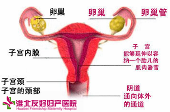 盆腔炎长期不愈会有什么危害