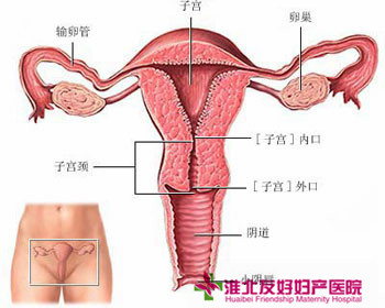 淮北治疗附件炎多少钱?