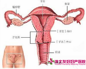 治疗附件炎要做哪些检查