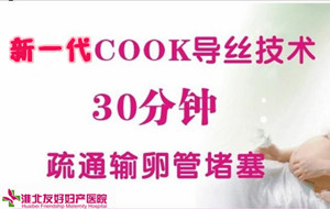 新一代cook导丝：输卵管性不孕比较新治疗技术