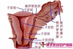 子宫内膜癌的症状包括哪些